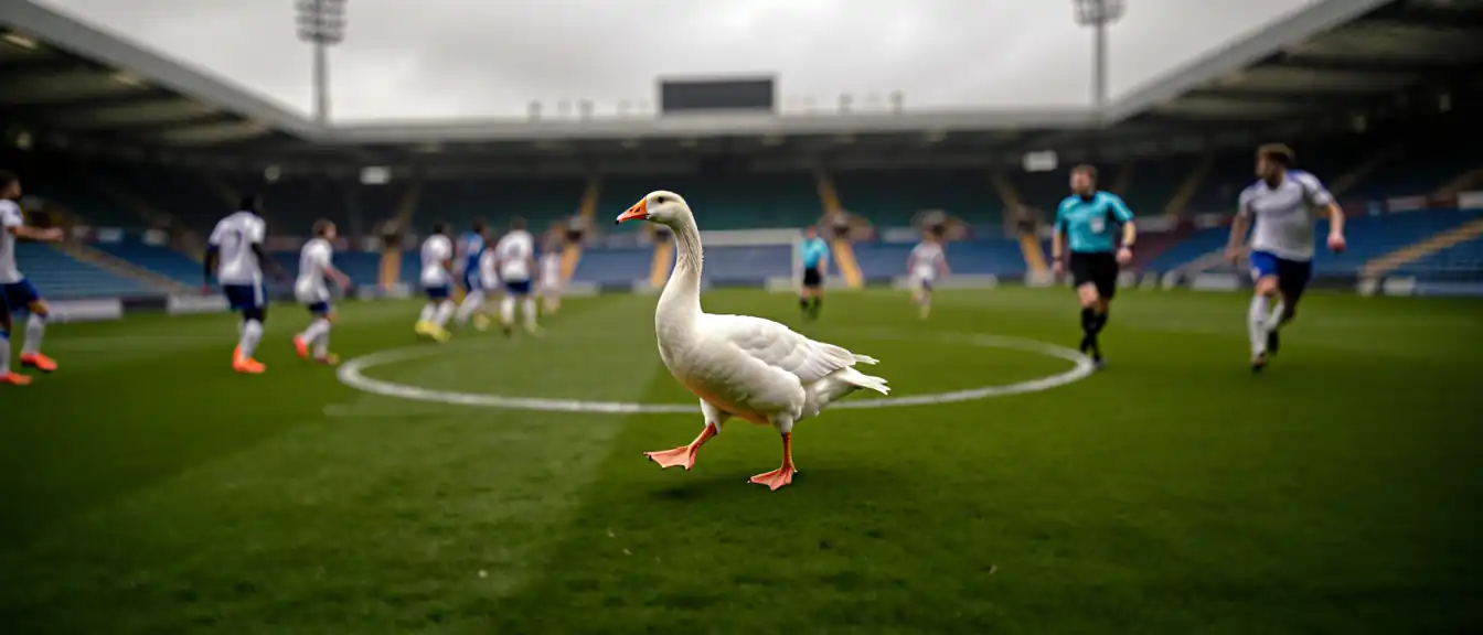 Незваный гость на поле: как обычный гусь сорвал планы футболистов в Западном Сассексе