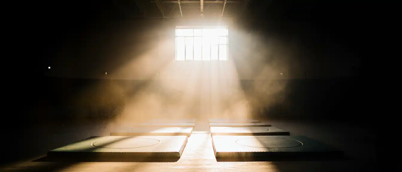 Дзержинску могут построить новый современный комплекс по единоборствам